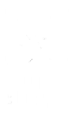 Fundación Guido Buffo